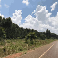 Kibumba-Bulima-Road