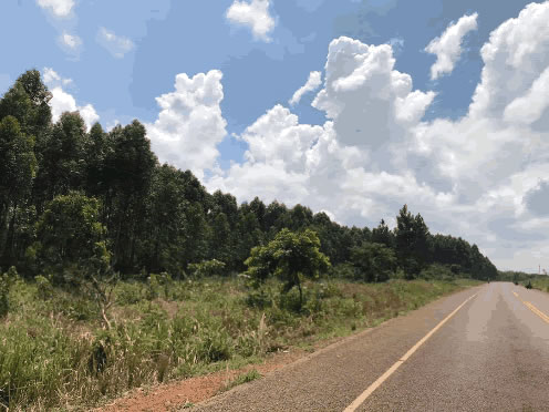 Kibumba-Bulima-Road
